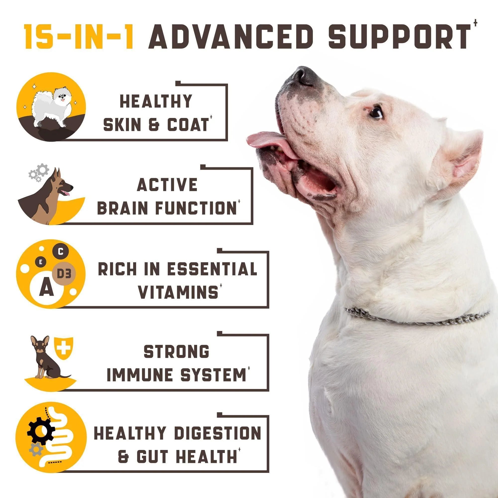 15 in 1 Dog Multivitamin Supplements Immunity Digestion Joint and Heart Health